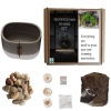 Seedleme Bonsai pot kit gift box. Indigenous South African tree seeds Euclea Crispa Photo