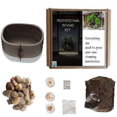 Photo of Seedleme Bonsai pot kit gift box. Indigenous seeds Olea Europea ssp Africana