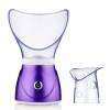 Professional Face Steamer Photo