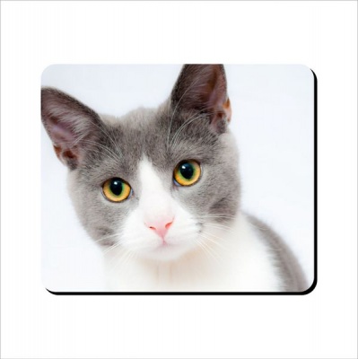 Photo of Mouse Pad - Pink Nose Kitty