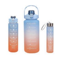 Set of 3 Motivational Water Bottles 2Ltr900Ml300Ml GreenPurple