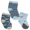 Stephen Joseph Sock Sets Shark 3 pack Photo