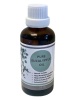 Cirrus Eucalyptus Oil Photo