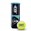 Srixon Dunlop ATP Championship Extra Duty Sea Level 3 Pet Tennis Balls Photo