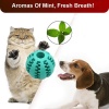 POU Pets Interactive Rubber Non-Toxic Chew Toy Photo