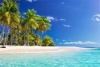 Graffiti Laptop Skin Beach Palm Trees Photo