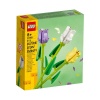 LEGO Iconic 40461 - LEGO® Iconic Tulips Photo