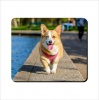 Mouse Pad - Corgi Photo