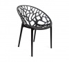 Plastic Web Chair - Black Photo