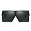 Veronica Vintage Sunglasses - Black Photo