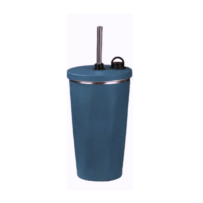 600ml Stainless Steel Travel Cup with Straw