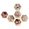 Pine Boxed Canvas Hexagonal 6 piecese collage Pink Peonie Florals Photo