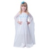 Frozen 2 Elsa Princess Dress Photo