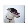 Mouse Pad - Dog With Glasses Photo