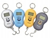 40kg Portable Electronic MultiPurpose Luggage Weighing Scale with Batteries Photo