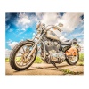 Diamond Painting DIY Kit Full Drill 50x40cm- Motorcycle Photo