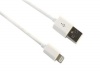 Tech Collective TechCollective iPhone SyncCharging Cable 2m - White Photo