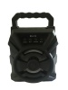 Wireless Radio Speaker RS-312 Photo