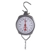Five Goats Suspended Scale - 150kg Photo
