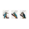 Birch Block 3 piecese collage Blue Birds Photo