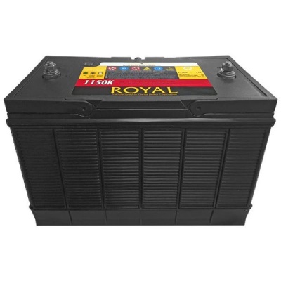 Royal Semi Sealed 12V100Ah Lead Acid Battery