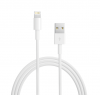 Apple Lightning to USB Cable Photo