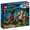 LEGO Harry Potter Forbidden Forest: Umbridge's Encounter | 75967 Photo