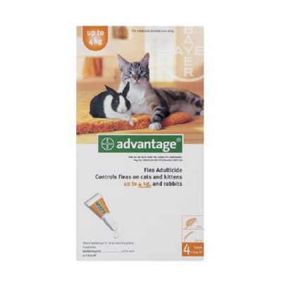 Photo of Advantage Small Cats 4x0.4ml Orange