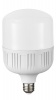 Bright Star Lighting 38 Watt LED Bulb in Cool White - T125 Photo