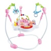 Baby Learning Walker - Pink Photo