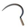 Carpa Sickle with Wooden Handle Photo