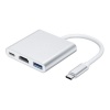 LPS 3" 1 Type-C HUB converter to TYPE-C HDMI USB3.0 Photo