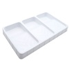 Anthony Peters 3-Section Paint Roller Tray Photo