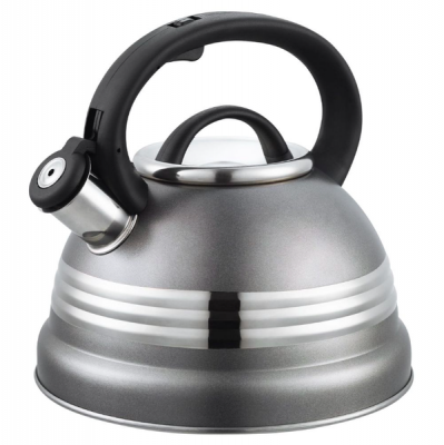 Whistling Stainless Steel Kettle