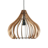 Fig Pendant Light Photo