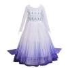 White Enchanted Princess Dress Photo
