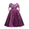 Kid’s Sophia Inspired Purple Princess Dress Photo