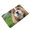 Doormat Golden Bulldog Photo