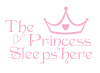 Graceful Accessories The Princess Sleeps Here Wall Vinyl Photo