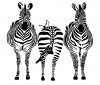 Graceful Accessories Zebra Wall Vinyl Art Photo