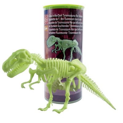 Photo of Edu Science Edu-Science Glow-in-the-Dark Tyrannosaurus Rex Skeleton: 25cm x 10cm