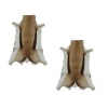 Springbok Rug/Hide - Set of 2 Photo