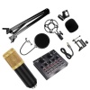 M800 Pro Condenser Microphone Kit with V8 Sound Card Gold Photo