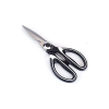 Kitchen Scissor Photo