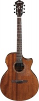 Ibanez AE295 LGS Acoustic Electric Guitar