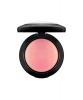 MAC Mineralize Blush - Petal Power Photo