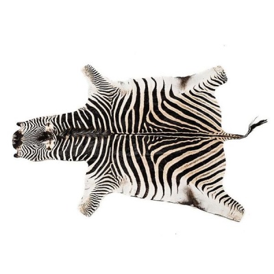 Photo of Authentic Zebra Hide
