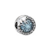 Winter Crystal Charm - Frozen Photo