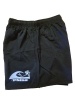 Men's Boxer Swim Short Photo
