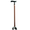Walking Stick Tripod Photo